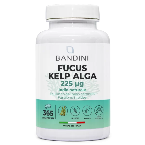 Fucus Kelp Algae 365 comprimés