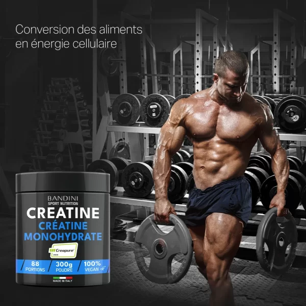 Creatine Creapure 300g.PT02