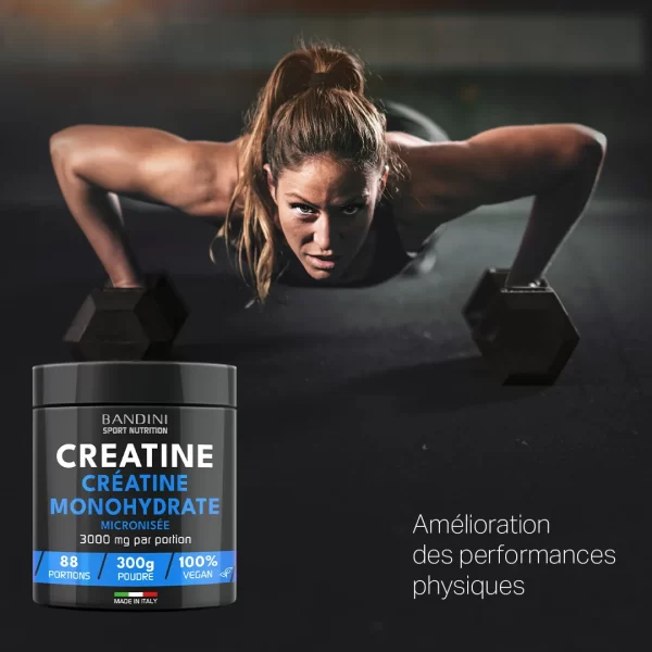 Creatine poudre 300g.PT05