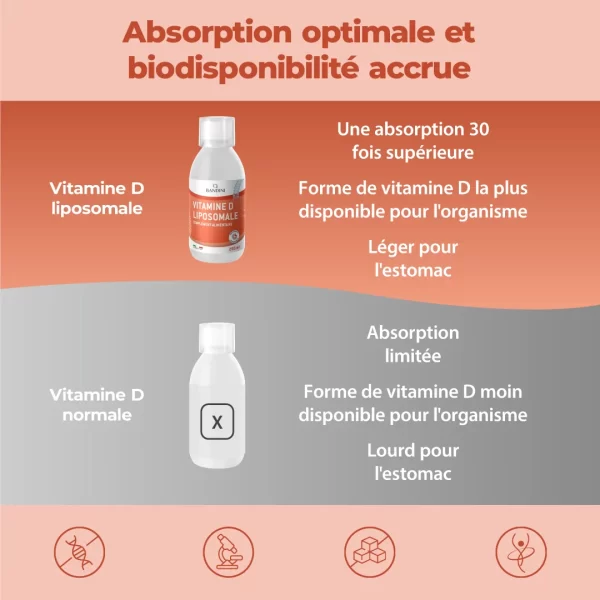 Vitamine D Liposomale.pt02