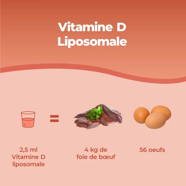 Vitamine D Liposomale.pt03