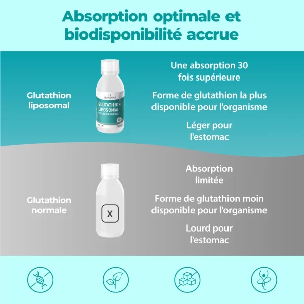 Glutathion Liposomal.pt02