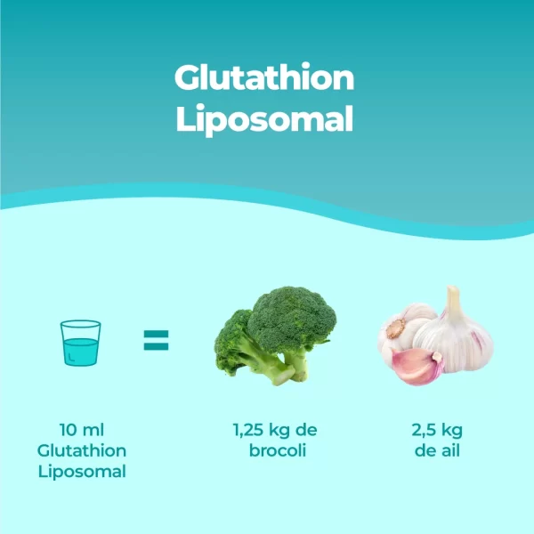 Glutathion Liposomal.pt03