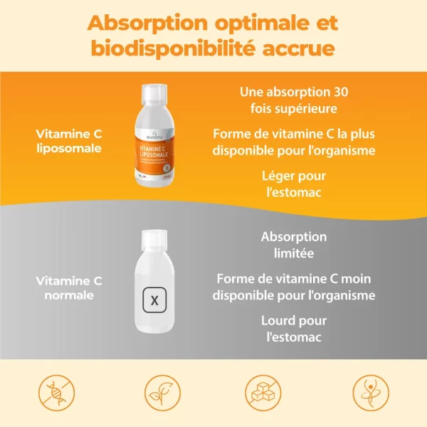 Vitamine C Liposomale 180.pt02