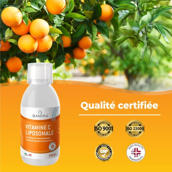 Vitamine C Liposomale 180.pt05
