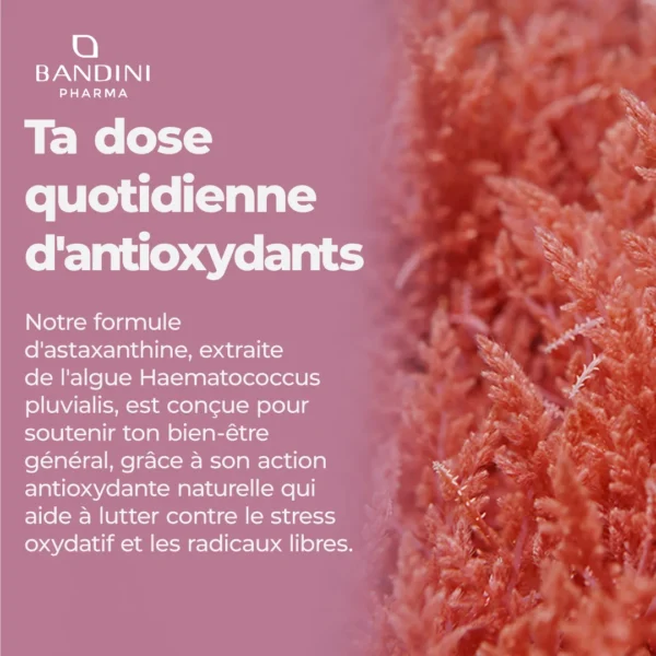 Astaxantina 90 Capsule.pt02