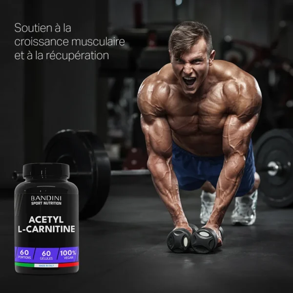Complément alimentaire à base d’Acetyl L-Carnitine
