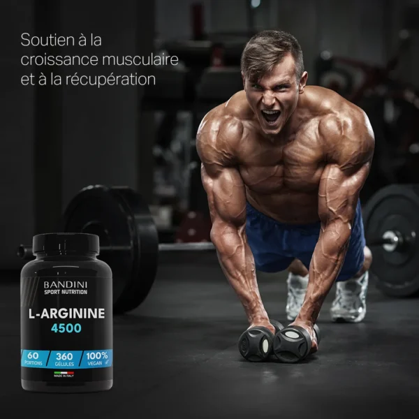 Complément alimentaire à base de L-Arginine