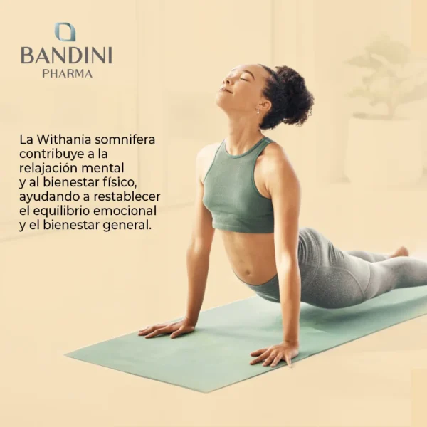 Complément alimentaire à base d’Ashwagandha