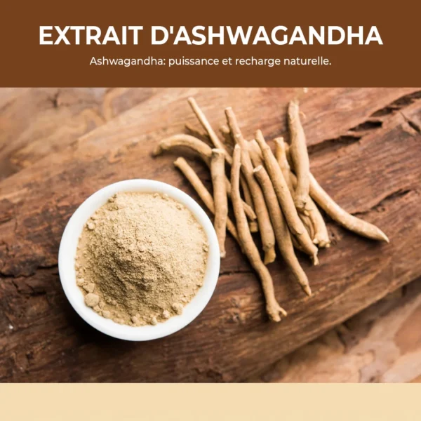 Complément alimentaire à base d’Ashwagandha