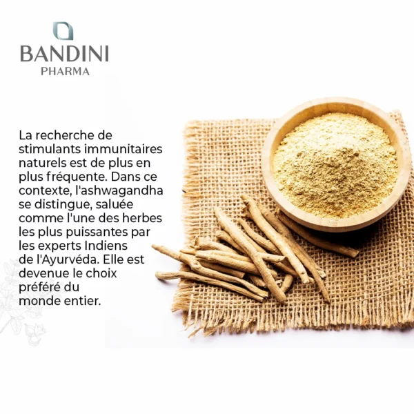 Complément alimentaire à base d’Ashwagandha