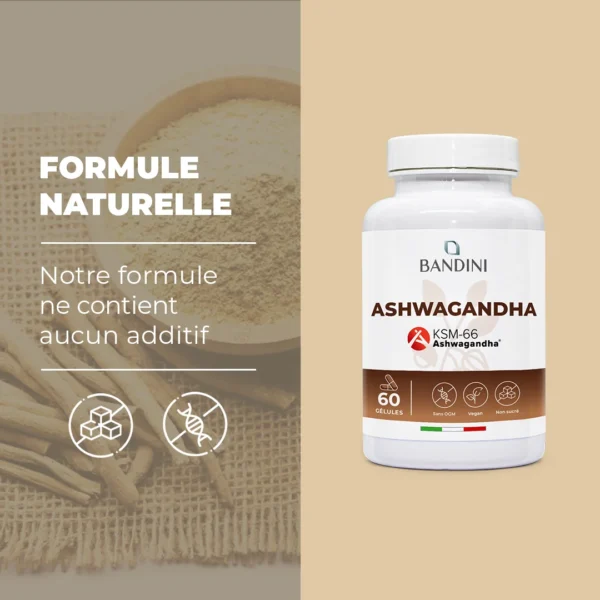 Complément alimentaire à base d’Ashwagandha