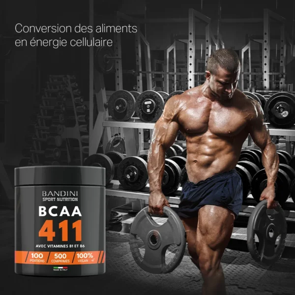 Complément alimentaire à base de BCAA 4 1 1 500