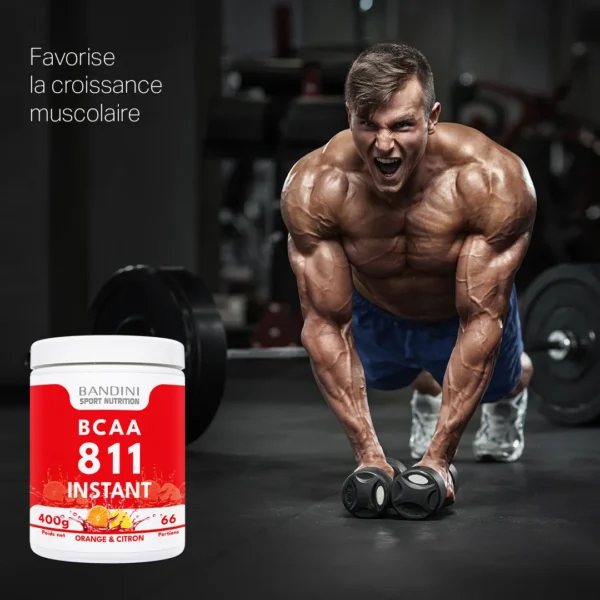 Complément alimentaire à base de BCAA POWDER 8 1 1