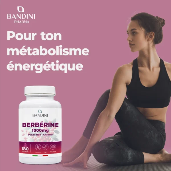 Complément alimentaire à base de berbérine