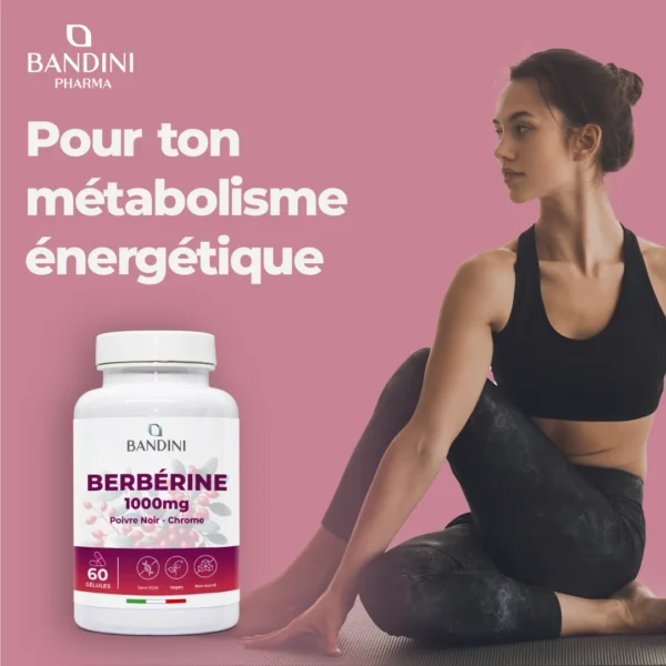 Complément alimentaire à base de berbérine