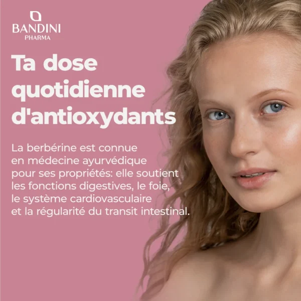 Complément alimentaire à base de berbérine