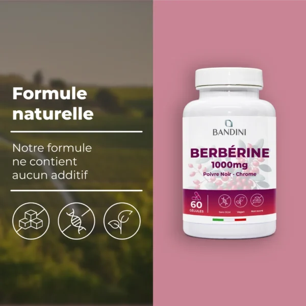 Complément alimentaire à base de berbérine