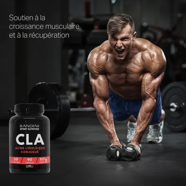 Complément alimentaire à base de CLA