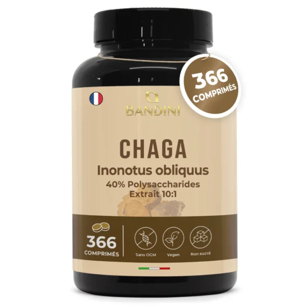 Chaga – 366 comprimés