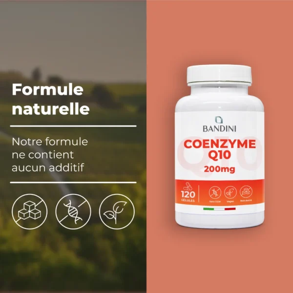 Complément alimentaire à base de coenzyme Q10