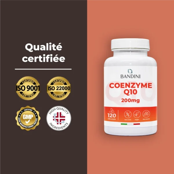 Complément alimentaire à base de coenzyme Q10