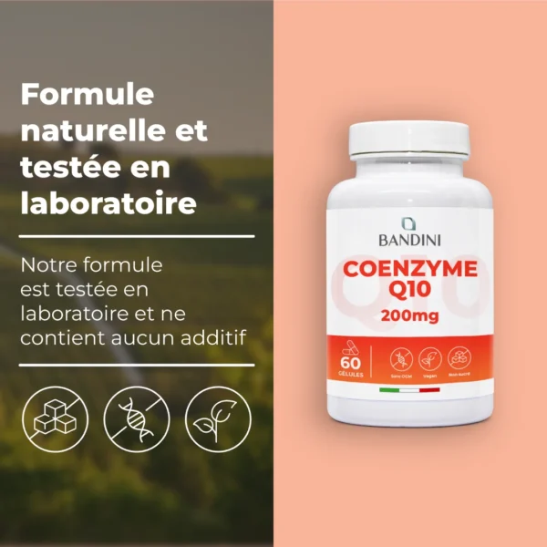 Complément alimentaire à base de coenzyme Q10