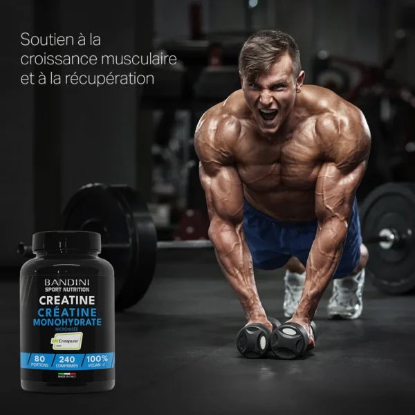 Complément alimentaire à base de créatine Creapure
