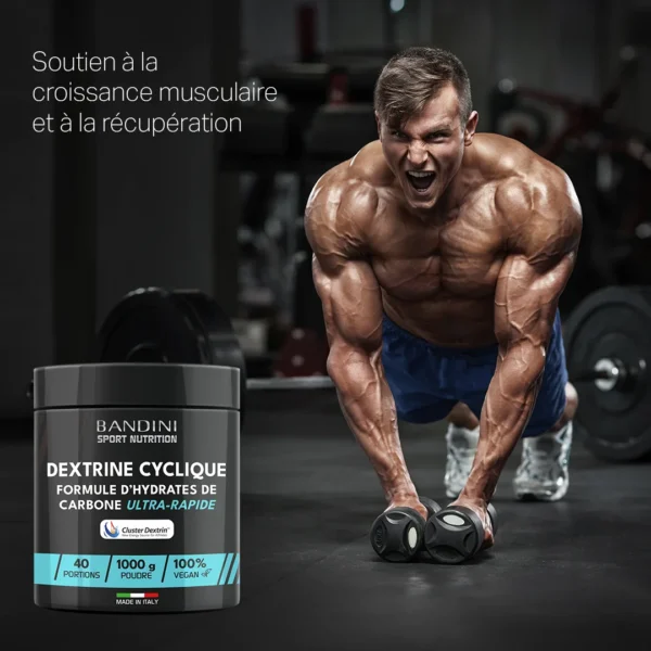 Complément alimentaire à base de cyclodextrines