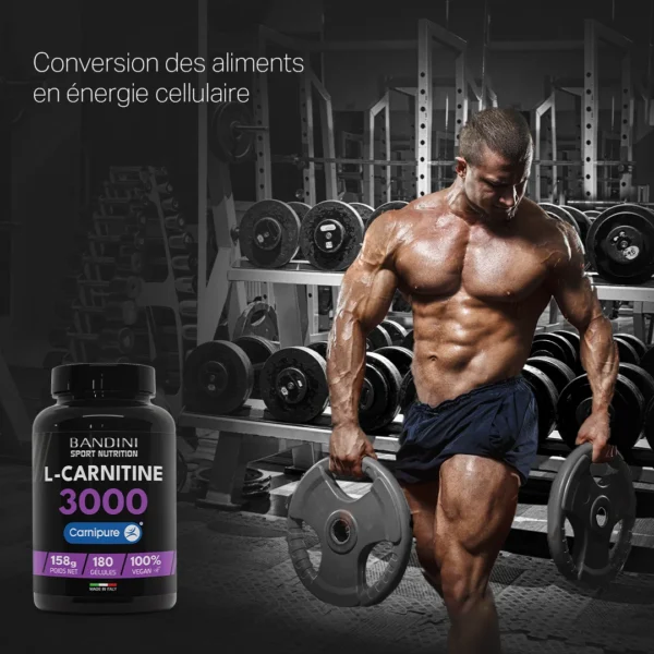 L Carnitine 3000 - 180 gélules – Image 3