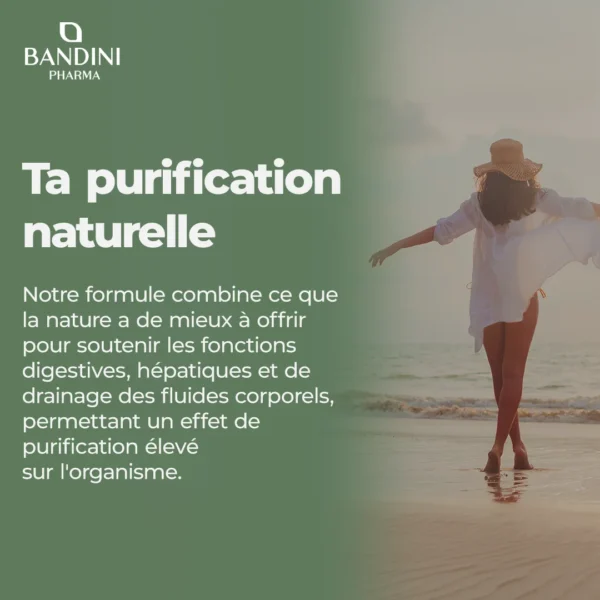 Detox Slim - 60 gélules – Image 3