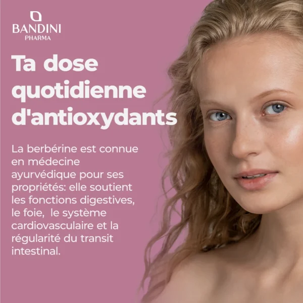 Berbérine - 180 comprimés – Image 3
