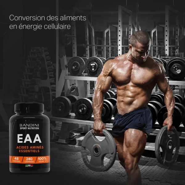 EAA Acides Aminés Essentiels - 240 Comprimés – Image 3