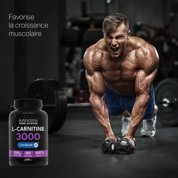 L Carnitine 3000 - 180 gélules – Image 4