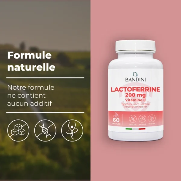 Lactoferrine 60 gélules – Image 4