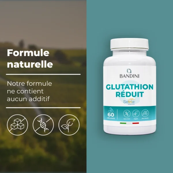 Glutathion Setria® - 60 Gélules – Image 4