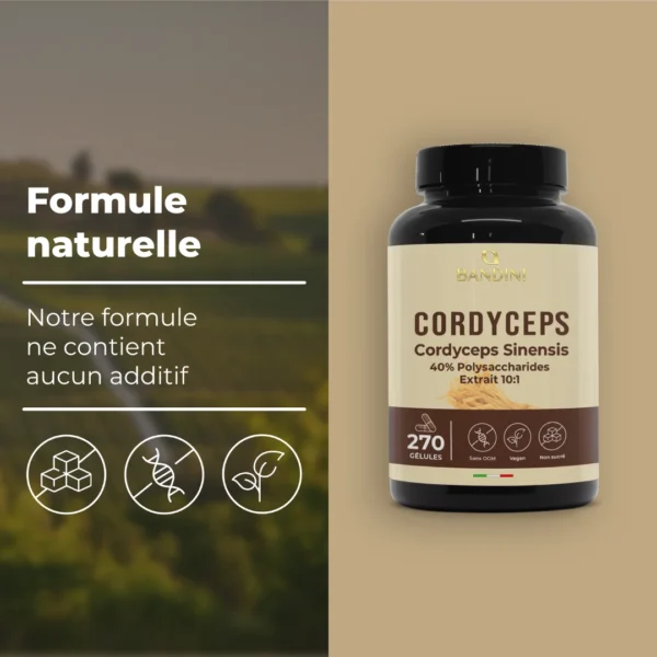 Cordyceps Sinensis - 270 Gélules – Image 4