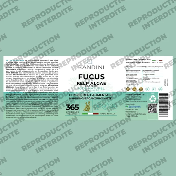 Fucus Kelp Algae 365 comprimés – Image 5
