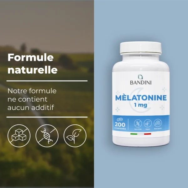 Mélatonine 1 mg 200 comprimés – Image 4