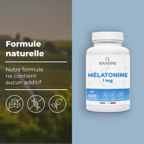 Mélatonine 1 mg 400 comprimés – Image 4