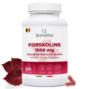Complément alimentaire à base de forskoline