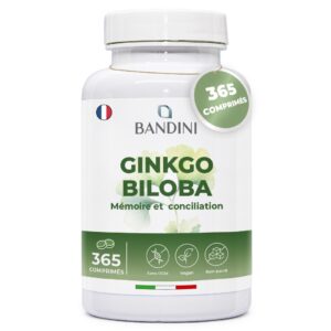 Ginkgo Biloba 365 comprimés