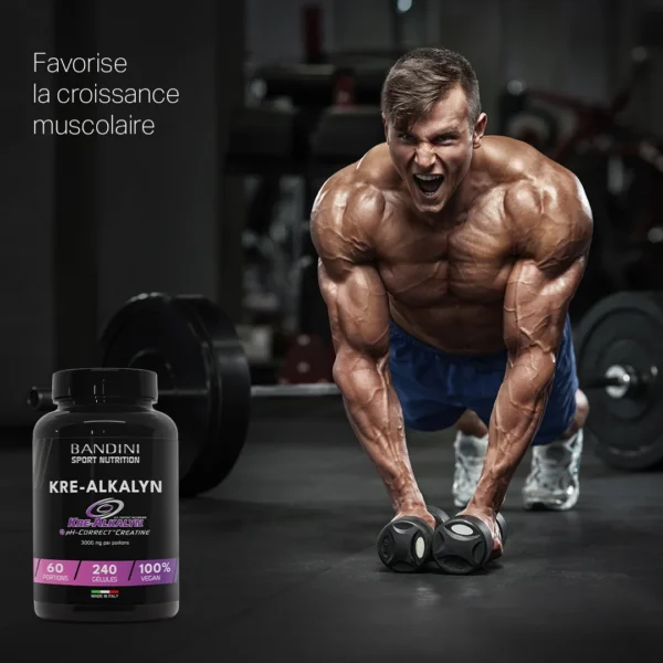 Complément alimentaire à base de Kre-Alkalyn