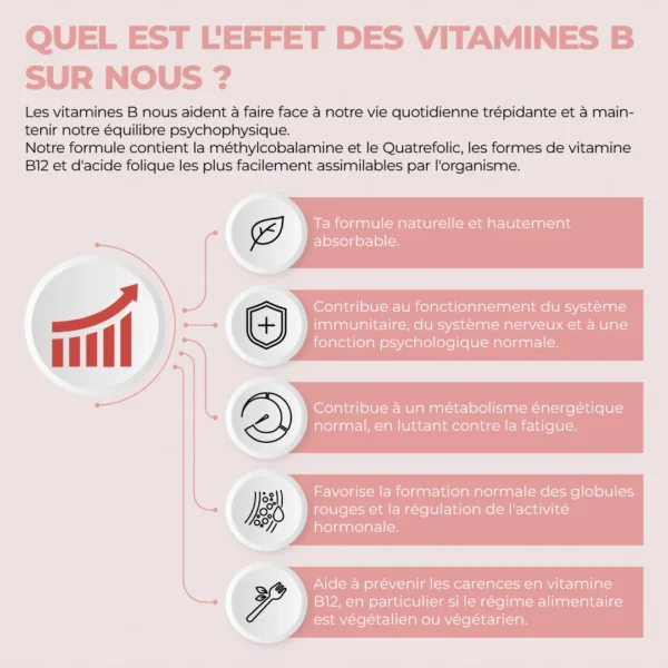 Complément alimentaire à base de vitamines B