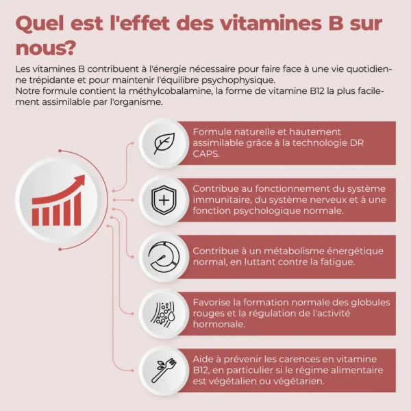 Complément alimentaire à base de vitamines B
