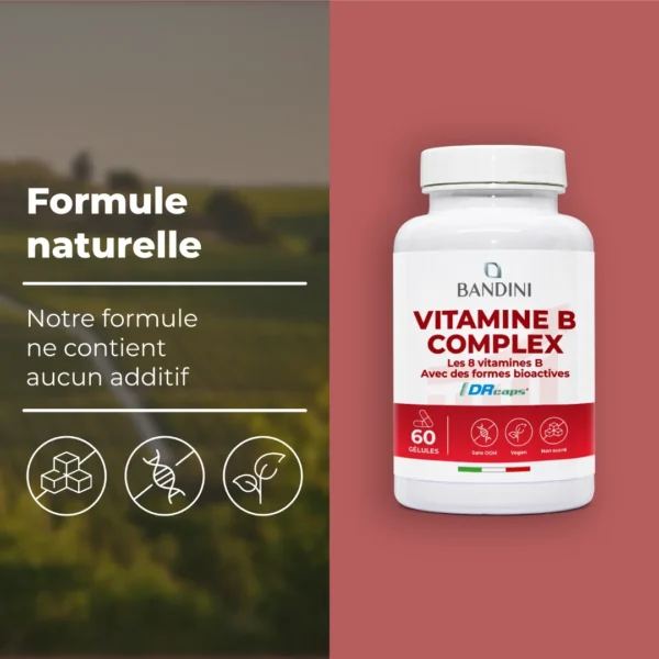 Complément alimentaire à base de vitamines B