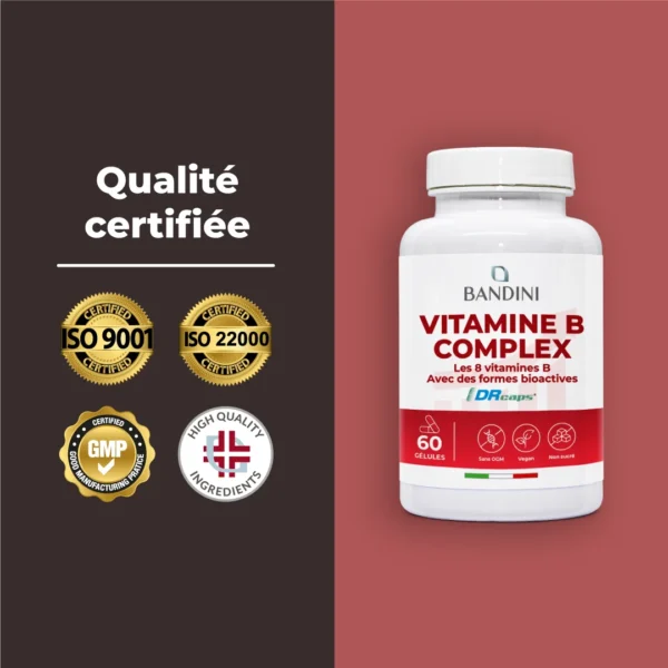 Complément alimentaire à base de vitamines B
