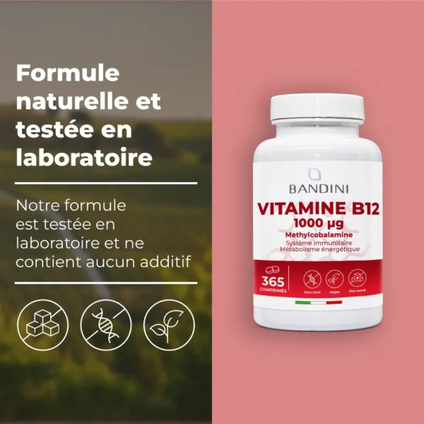Complément alimentaire à base de vitamine B12