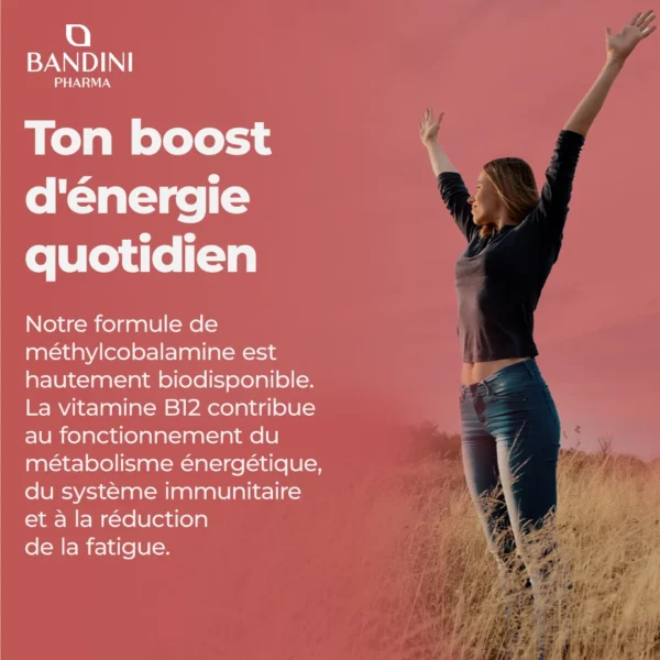 Complément alimentaire à base de vitamine B12