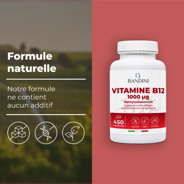 Complément alimentaire à base de vitamine B12